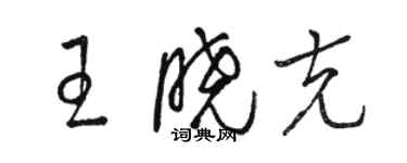 骆恒光王晓克草书个性签名怎么写