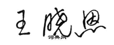 骆恒光王晓恩草书个性签名怎么写