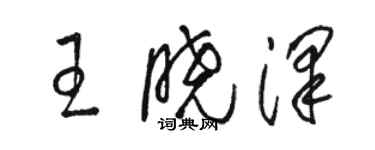 骆恒光王晓泽草书个性签名怎么写