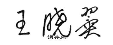 骆恒光王晓翼草书个性签名怎么写