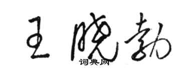 骆恒光王晓勃草书个性签名怎么写