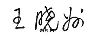 骆恒光王晓州草书个性签名怎么写