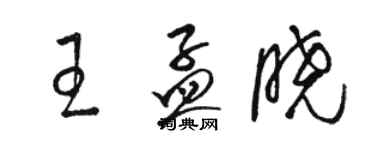 骆恒光王孟晓草书个性签名怎么写