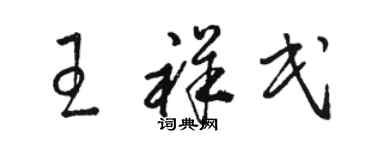 骆恒光王祥民草书个性签名怎么写