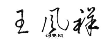 骆恒光王风祥草书个性签名怎么写