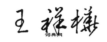 骆恒光王祥桦草书个性签名怎么写