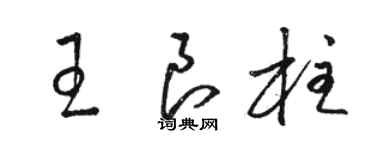 骆恒光王良柱草书个性签名怎么写