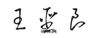 骆恒光王圣良草书个性签名怎么写