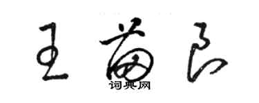 骆恒光王苗良草书个性签名怎么写