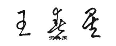 骆恒光王春星草书个性签名怎么写