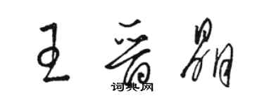 骆恒光王晋晶草书个性签名怎么写