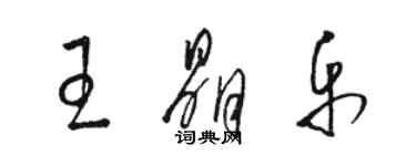 骆恒光王晶乐草书个性签名怎么写