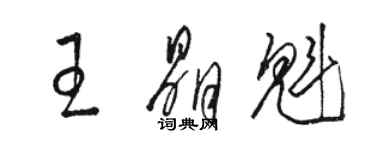 骆恒光王晶魁草书个性签名怎么写