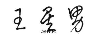 骆恒光王星男草书个性签名怎么写