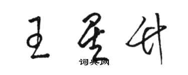 骆恒光王星竹草书个性签名怎么写