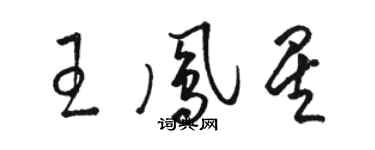 骆恒光王凤星草书个性签名怎么写