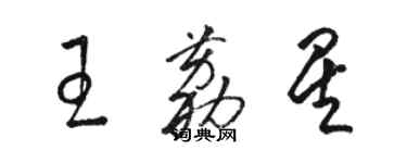 骆恒光王荔星草书个性签名怎么写