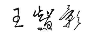 骆恒光王智影草书个性签名怎么写