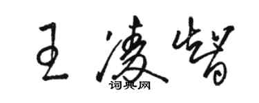 骆恒光王凌智草书个性签名怎么写