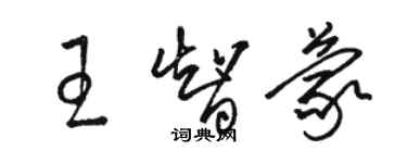骆恒光王智蒙草书个性签名怎么写