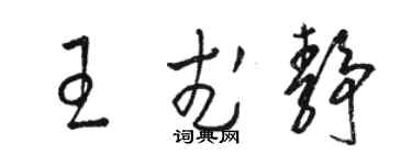 骆恒光王武静草书个性签名怎么写