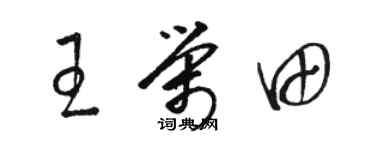 骆恒光王荣田草书个性签名怎么写