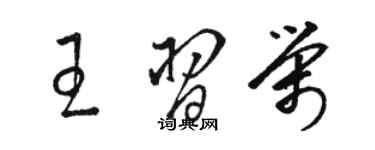 骆恒光王习荣草书个性签名怎么写