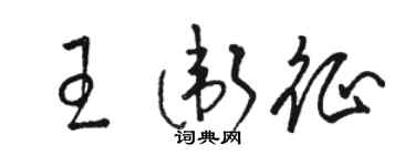 骆恒光王卫征草书个性签名怎么写