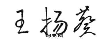 骆恒光王扬葵草书个性签名怎么写