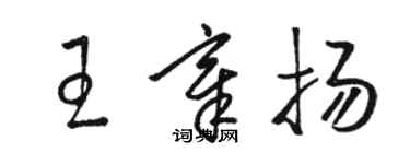 骆恒光王章扬草书个性签名怎么写