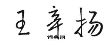 骆恒光王辛扬草书个性签名怎么写
