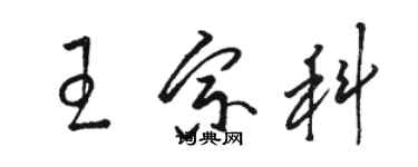 骆恒光王宗科草书个性签名怎么写