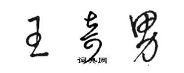 骆恒光王奇男草书个性签名怎么写