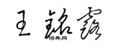 骆恒光王铭露草书个性签名怎么写