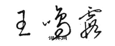 骆恒光王鸣霞草书个性签名怎么写
