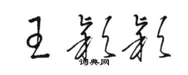 骆恒光王颖颖草书个性签名怎么写