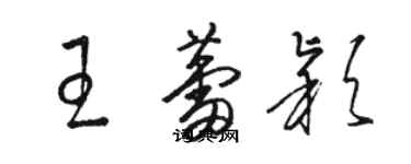 骆恒光王蕾颖草书个性签名怎么写
