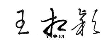 骆恒光王相颖草书个性签名怎么写