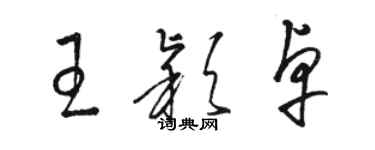 骆恒光王颖卓草书个性签名怎么写