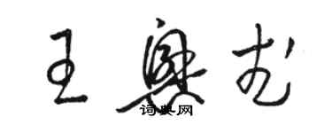 骆恒光王兴武草书个性签名怎么写