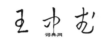 骆恒光王中武草书个性签名怎么写
