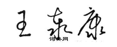 骆恒光王泰康草书个性签名怎么写