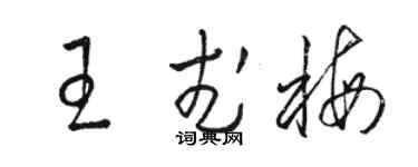 骆恒光王武梅草书个性签名怎么写
