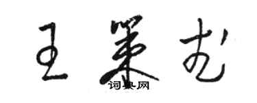 骆恒光王策武草书个性签名怎么写