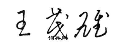 骆恒光王茂雄草书个性签名怎么写