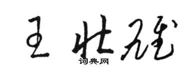 骆恒光王壮雄草书个性签名怎么写