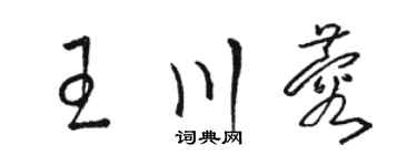 骆恒光王川蓉草书个性签名怎么写