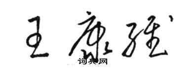 骆恒光王康维草书个性签名怎么写