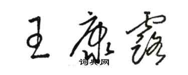 骆恒光王康露草书个性签名怎么写