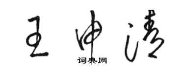 骆恒光王申清草书个性签名怎么写